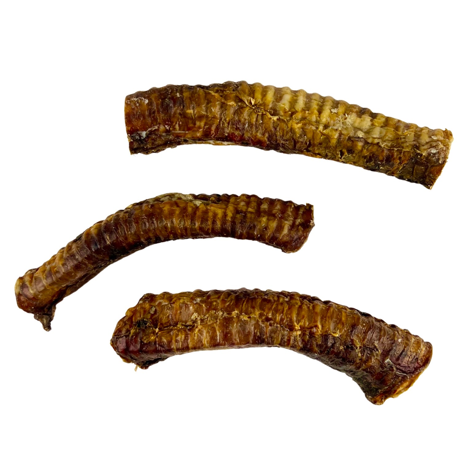 Beef Trachea – Carnivore Dog Treats